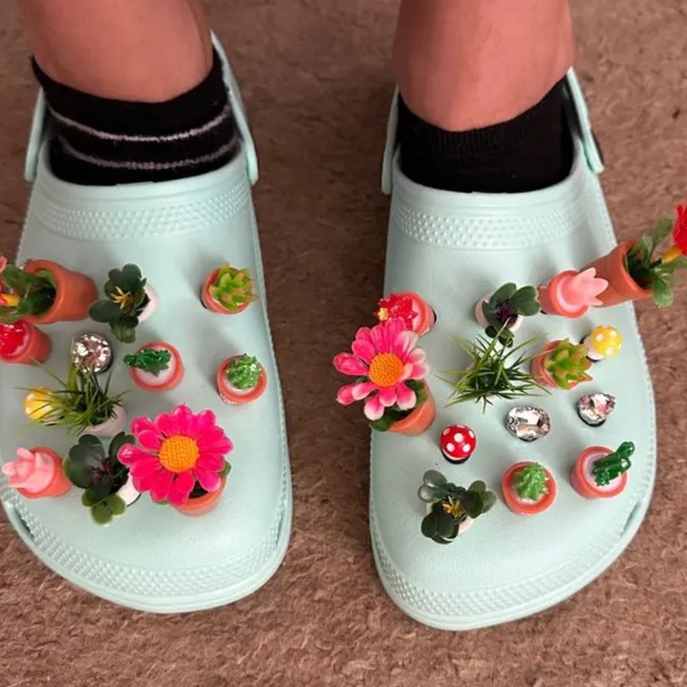 Succulent shoe charm garden houseplants mushroom cactus violet